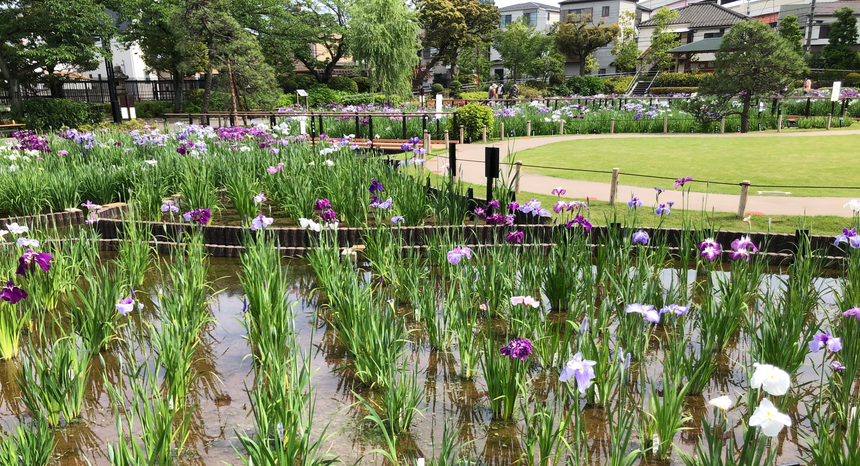 kosyare 施設写真